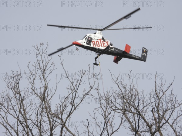 Switzerland: The T Max, a cargo helicopter used to remove felled trees in Zurich Witikon. The helicopter carries more than one and a half times its weight