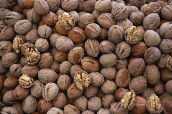 Whole walnuts background. Healthy organic food concept
