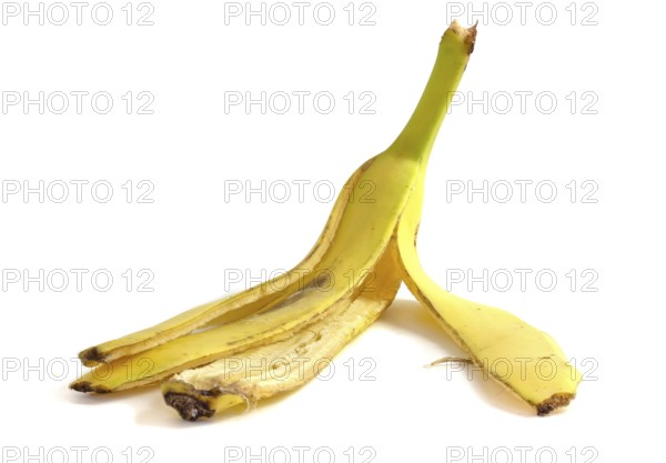 Banana peel isolated on white background close up. Organic material for compost
