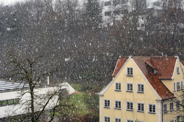 Snow showers, Kempten, Allgäu, Bavaria, Germany, Europe