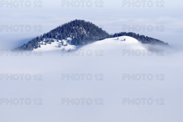 Wooded hills with snow rising from fog in winter, Mangfall mountains, Upper Bavaria, Bavaria, Germany, Europe