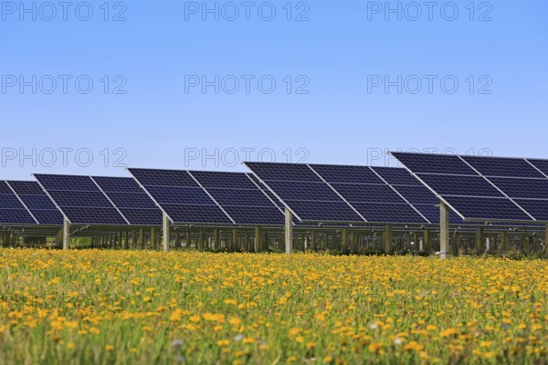 Solar panels on an open green field with yellow flowers and blue sky in the spring