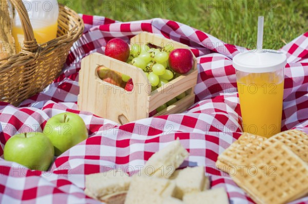 Great concept of pic-nic, pic-nic with fruits and juice on green lawn with beautiful view