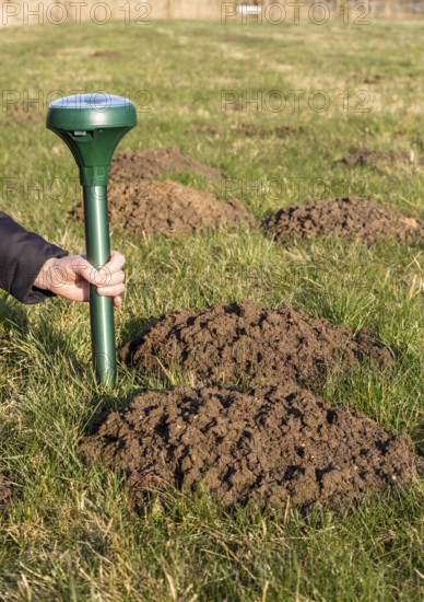 Attaching a mole deterrent