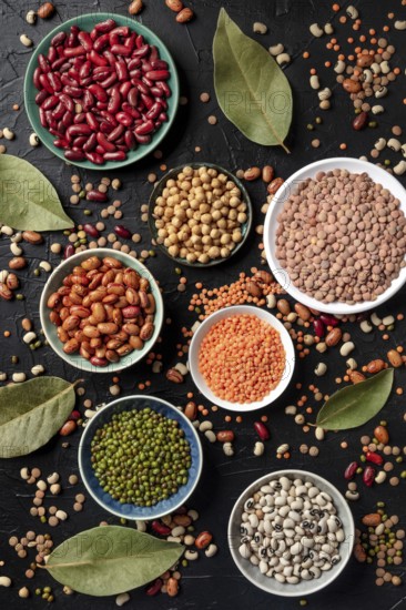 Various legumes, shot from the top on a dark background. Lentils, soybeans, chickpeas, red kidney beans, black-eyed peas and other pulses, a flat lay