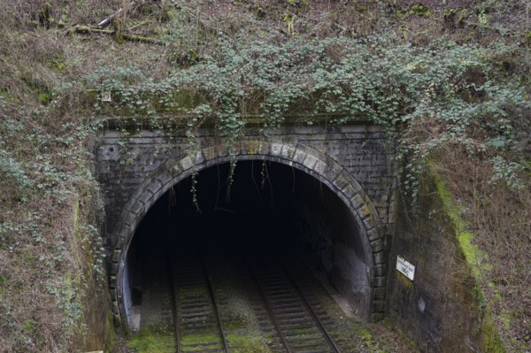 Railway tunnel in the Ohrenklinge, Westfrankenbahn, Gottwollshausen, regional railway, Deutsche Bahn, tunnel, railway, railway traffic, blackberry bushes, blackberries, Schwäbisch Hall, Germany, Europe