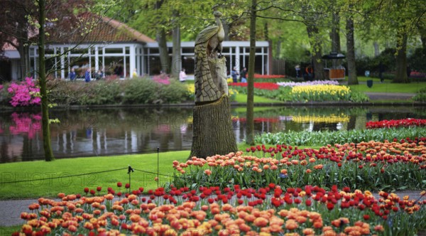 Keukenhof in the Netherlands has long been a magnet for international tourism, but it is particularly attractive during the tulip blossom season, as seen here on 28.4.2018 in Lisse, NDL, the Netherlands