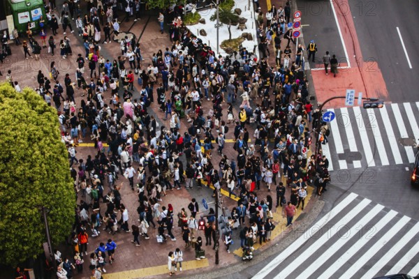 TOKYO, JAPAN, MAY 12, 2019, Shibuya Crossing is one of the world's most used pedestrian crossings, in central Tokyo, Japan, Asia