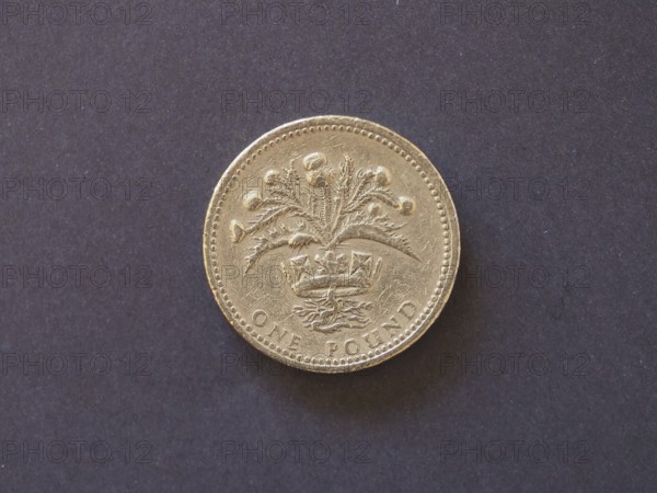 1 pound coin, United Kingdom, Europe
