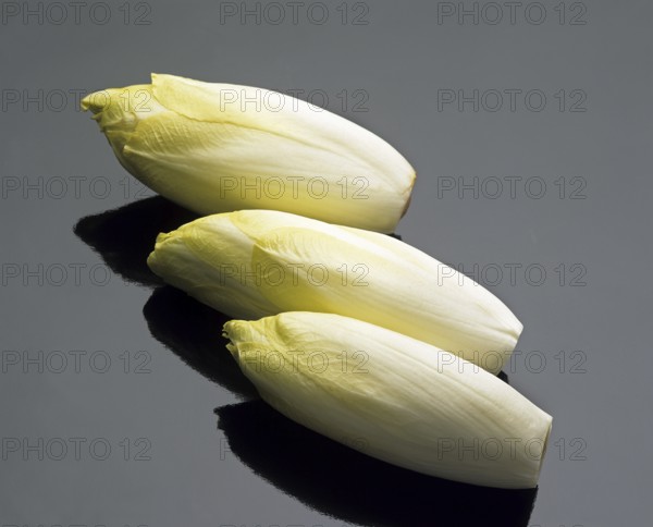 Chicory (cichorium endivia), Vegetables against Black Background