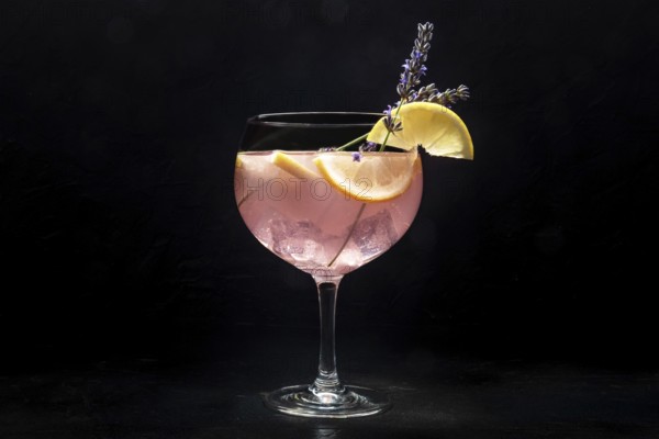 Fancy cocktail with fresh fruit. Gin and tonic drink with ice at a party, on a black background. Alcohol with lavender and lemon, Food photography