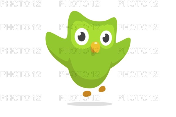 Duolingo Logo 2013, Internet, Old Logo from 2013