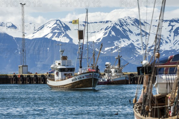HUSAVIK, ICELAND, JUNE 29: Whale-watching boat enters Husavik harbor with anchored sailing boats and mountains in the background on June 29, 2013 in Husavik, Iceland, Europe