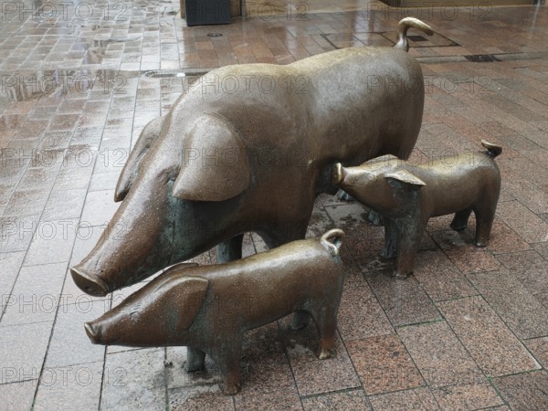 Statue with pigs in the old town, Hanseatic city, Bremen, Germany, Europe