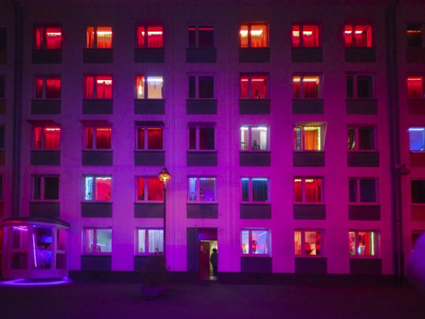 Laufhaus, prostitutes in the windows of a red-lit brothel, Düsseldorf, North Rhine-Westphalia, Germany, Europe
