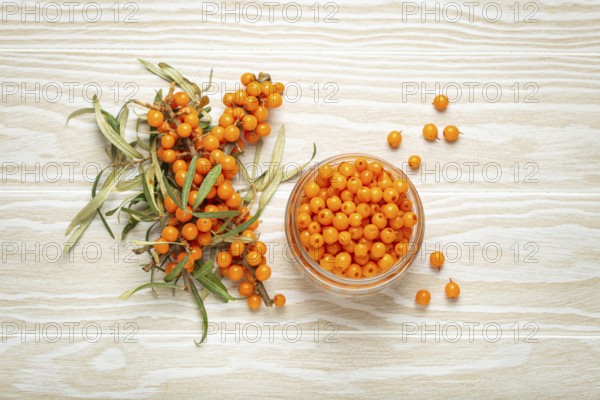 Sea buckthorn ripe berries in glass jar and branches with leaves top view on white wooden rustic background, great for skin, heart, vessels and immune system, food photography, food photography