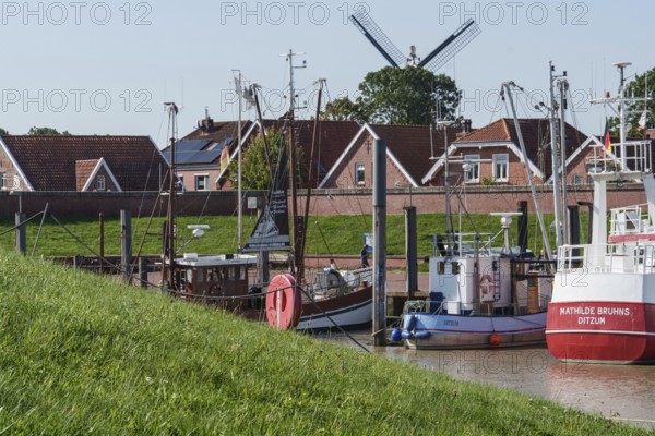 Harbour with fishing boats, a windmill and houses in the background, green meadow in the foreground, Ditzum, East Frisia, Germany, Europe