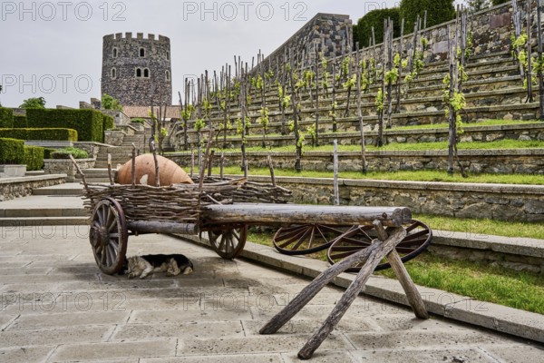 Old cart with a quevri, Kvevri, vineyard of the Rabati castle complex, Akhaltsikhe castle, Samtskhe-Javakheti, Georgia, Asia