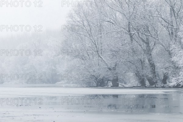 Frozen lake in winter, Winter lake scene