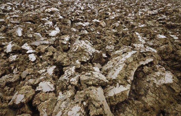 Close-up of clods, freshly ploughed field
