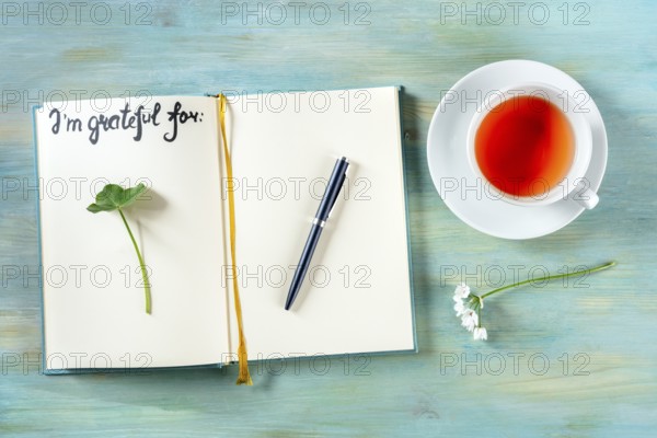 Open gratitude journal with a pen and a cup of tea, with the handwritten phrase I am grateful for and some plants