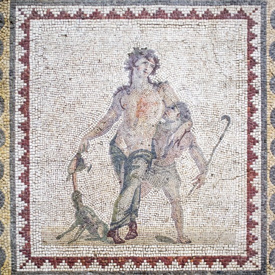 Mosaic, 2nd century AD, Archaeological Museum, Antioch, Drunken Dionysus, Hatay Archaeological Museum, Antakya, Hatay, Turkey, Asia