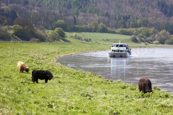 Boat trip on the River Weser near Oberweser, between Gewissenruh, Wahmbeck, Weser Uplands, Weserbergland, Reinhardswald, Hesse or Lower Saxony, Germany, Europe