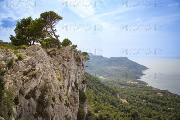 An impressive panorama of a rock face with trees above a coastline and the blue sea, view over cliffs Majorca in the west, Tramuntana Mountains, near Valldemossa, Majorca, Spain, Europe