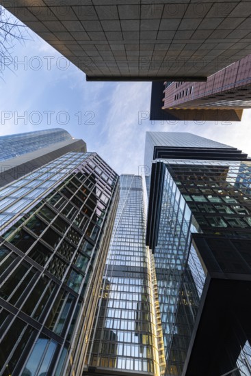 Look up in the morning in the middle of the skyline. Tower blocks and modern glass fronts at sunrise. Nice overview of the skyscrapers and their surroundings. Frankfurt am Main, Hesse, Germany, Europe