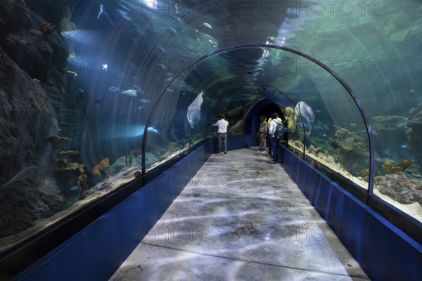 Exhibition room, aquarium, Odysseo Oceanarium Mauritius, show aquarium, large aquarium, old town, Port Louis, Indian Ocean, island, Mauritius, Africa