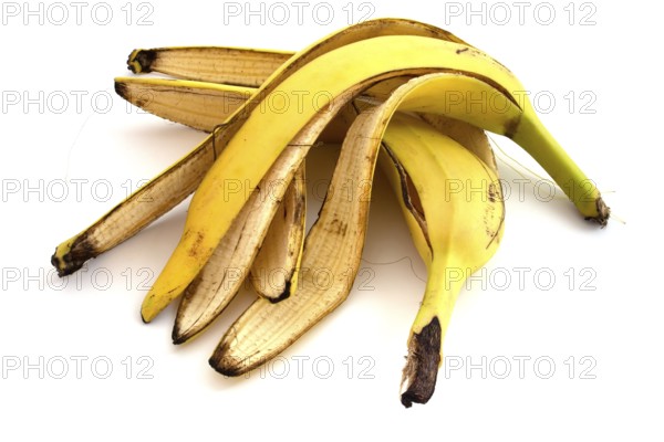 Banana peels isolated on white background. Material for compost, organic fertilizers