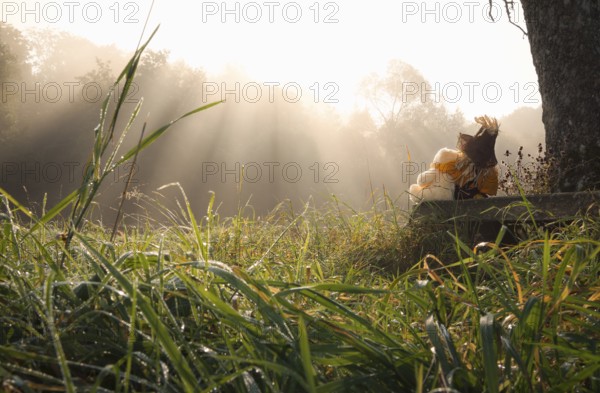Partnership theme image with a teddy bear and a scarecrow embraced, sitting together on a wooden bench under a tree and enjoying the sun piercing the morning mist