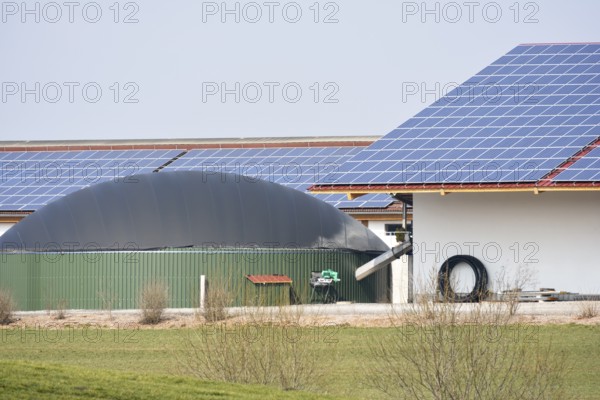 Renewable energy with photovoltaic and a biogas production facility