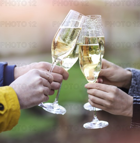 Friends making toast. Party with sparkling champagne glasses outdoors