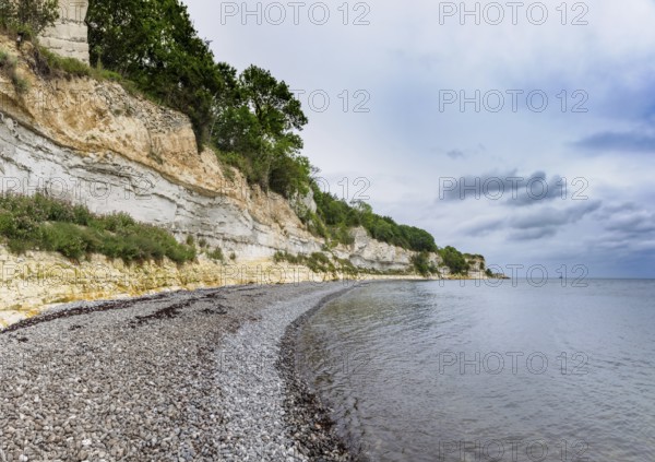 Stevns Klint, cliff on the Baltic Sea on Zealand, Denmark, Europe