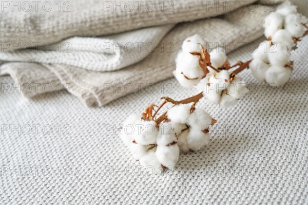 Neutral colored fabrics made from ecofriendly grown cotton and a branch with fluffy balls, concept for sustainable and fair fashion, copy space, selected focus, narrow depth of field