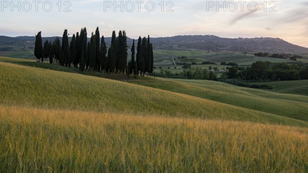 Val d'orcia, landscape, italy