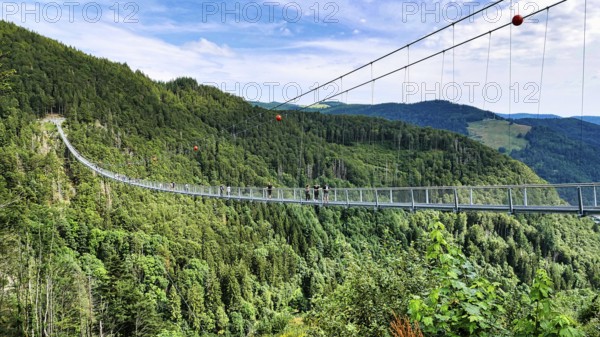 Blackforestline suspension bridge in Todtnau, Black Forest