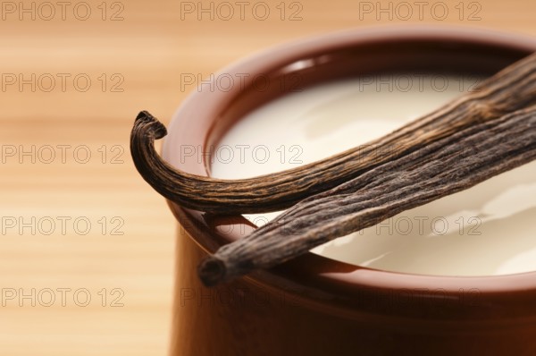 Sweet vanilla pudding dessert, poland