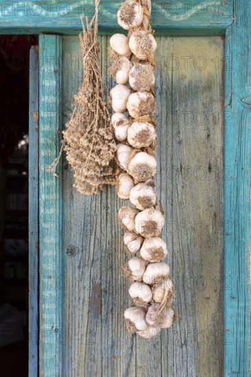 Garlic bulbs braided into a plait, hanging