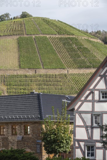 Vineyard terraces in the Ahr valley