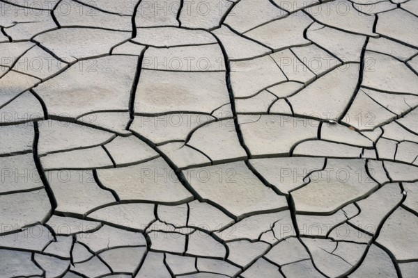 Cracked soil in Summer