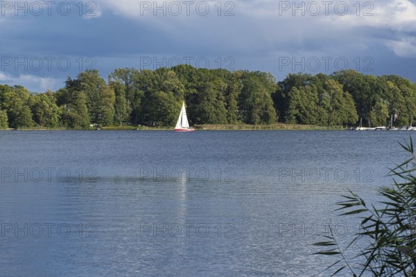 View over the Scharmützelsee with a sailing boat, Bad Saarow, Brandenburg, Germany, Europe