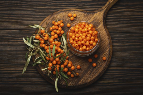 Sea buckthorn ripe berries in glass jar and branches with leaves top view on dark wooden rustic background, great for skin, heart, vessels and immune system, food photography, food photography