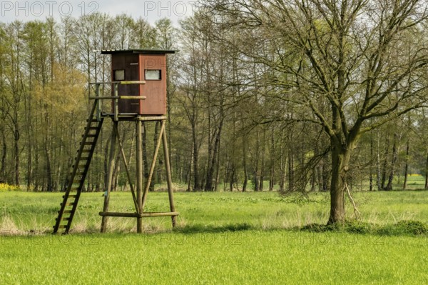 High stand for hunters in the meadow