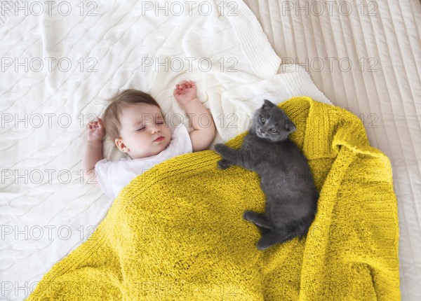 Close up portrait of a beautiful sleeping baby and kitten