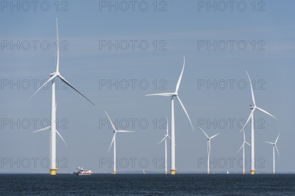 Wind farm in the water off the coast of the noordoostpolder in the Netherlands