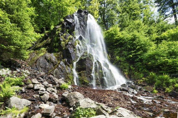 A view of the Radau waterfall in the Harz Mountains in Germany in glorious summer weather
