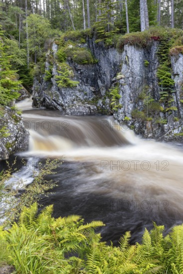 Pattack Falls and rapids, waterfall on the Pattack River, Laggan, Highlands, Scotland, Great Britain