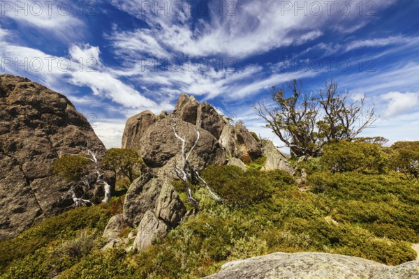 Landscape views at the summit of Porcupine Rocks on the Porcupine Walking Track on a summer's day in Kosciuszko National Park, Snowy Mountains, New South Wales, Australia, Oceania